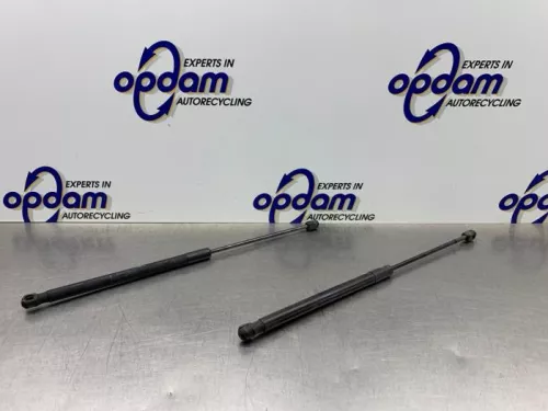 Set Gasdempers Achterklep-8150924 (21971736)