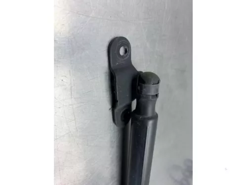 Set Gasdempers Achterklep-8269580 (22261654)