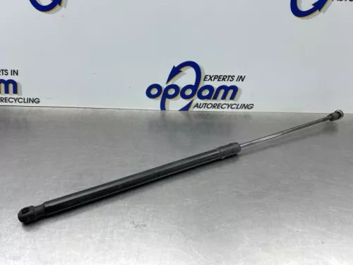 Set Gasdempers Achterklep-8195532 (22429063)