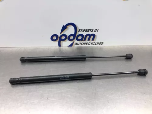 Set Gasdempers Achterklep-8143723 (21080273)