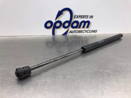 Set Gasdempers Achterklep-8143723 (21080273)