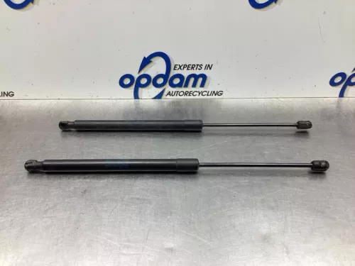 Set Gasdempers Achterklep-8063464 (19107487)