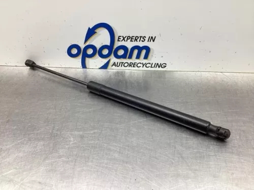 Set Gasdempers Achterklep-8063464 (19107487)