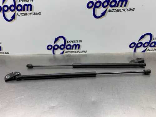 Set Gasdempers Achterklep-8212466 (21395897)