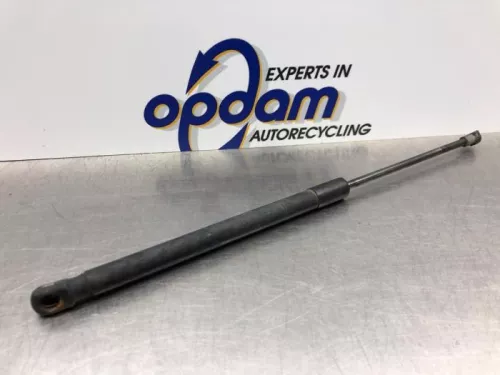 Set Gasdempers Achterklep-8082261 (20598814)