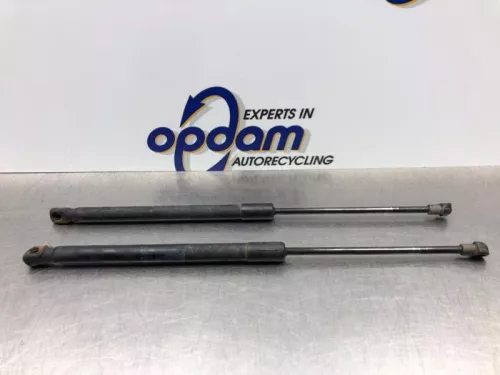 Set Gasdempers Achterklep-8082261 (20598814)