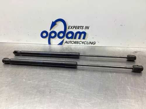 Set Gasdempers Achterklep-7913315 (17769867)