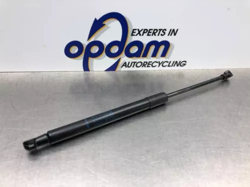 Set Gasdempers Achterklep-8185823 (20969287)