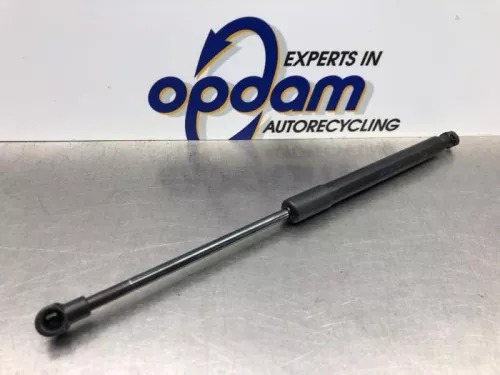 Set Gasdempers Achterklep-8185823 (20969287)
