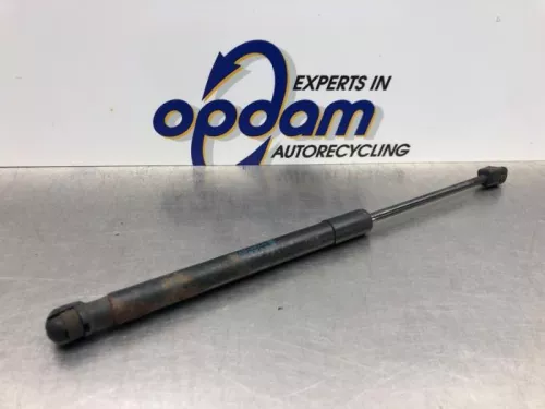 Set Gasdempers Achterklep-8218145 (21166298)