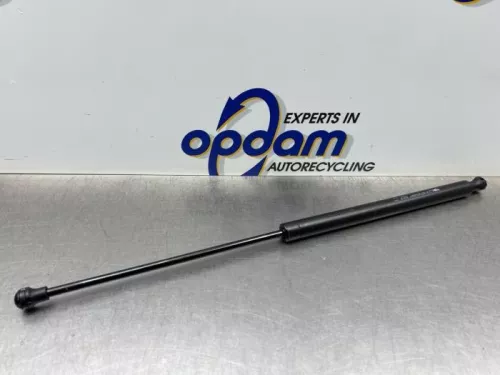 Set Gasdempers Achterklep-8214855 (22671056)