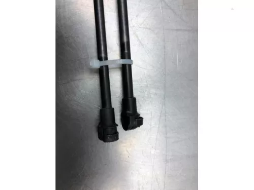 Set Gasdempers Achterklep-7841097 (17453170)
