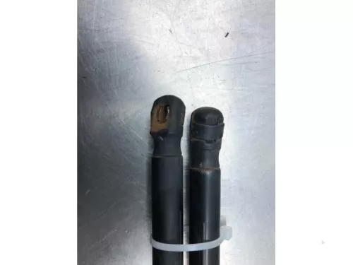 Set Gasdempers Achterklep-7841097 (17453170)