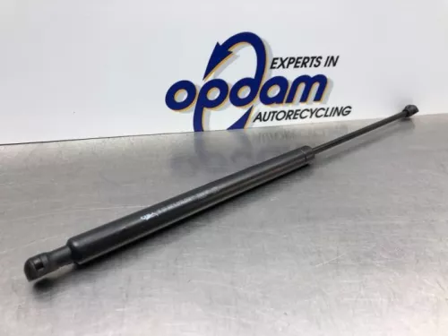 Set Gasdempers Achterklep-8112441 (20574657)