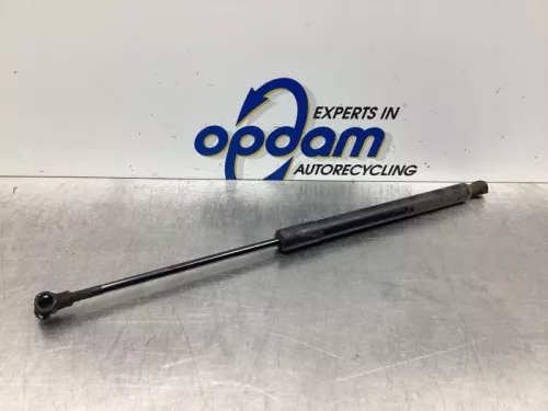 Set Gasdempers Achterklep-6498657 (17557991)