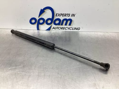 Set Gasdempers Achterklep-6498657 (17557991)