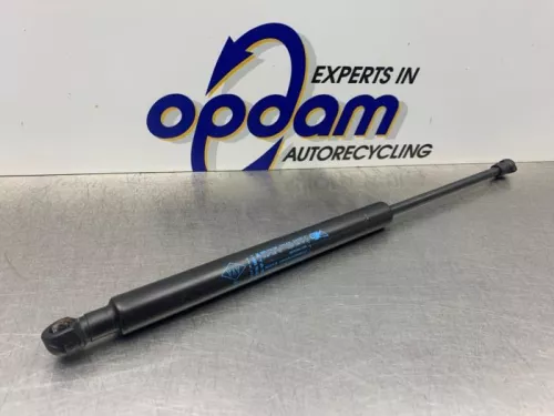 Set Gasdempers Achterklep-8278910 (21910645)