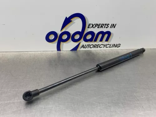 Set Gasdempers Achterklep-8278910 (21910645)