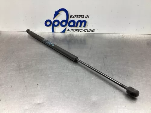 Set Gasdempers Achterklep-6093654 (18681944)