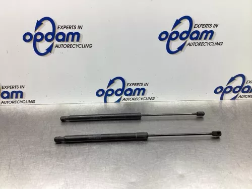 Set Gasdempers Achterklep-7764619 (18705810)