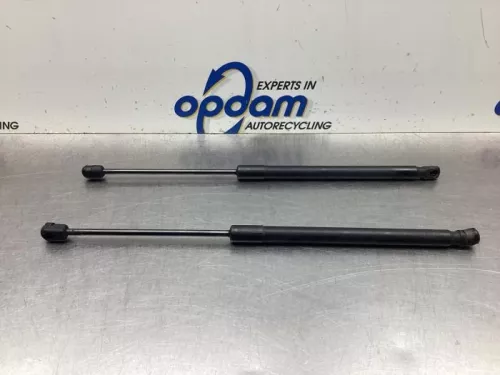 Set Gasdempers Achterklep-8070949 (19430301)