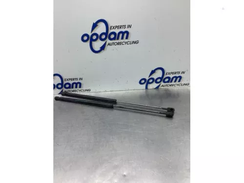 Set Gasdempers Achterklep-8071991 (19776586)