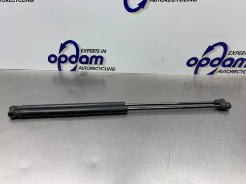 Set Gasdempers Achterklep-8217675 (21461146)
