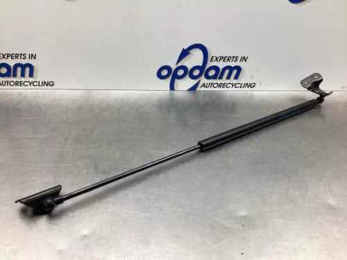 Set Gasdempers Achterklep-7926110 (17667778)