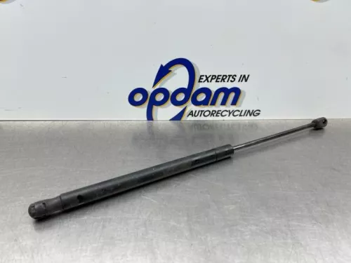 Set Gasdempers Achterklep-8313867 (22532204)