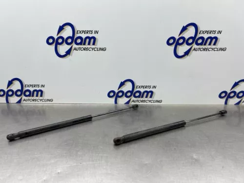 Set Gasdempers Achterklep-8313867 (22532204)