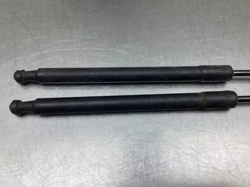 Set Gasdempers Achterklep-7846565 (19464285)