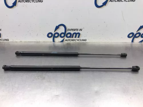 Set Gasdempers Achterklep-8130366 (20089326)