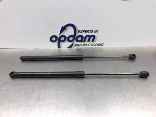 Set Gasdempers Achterklep-8221697 (21108775)