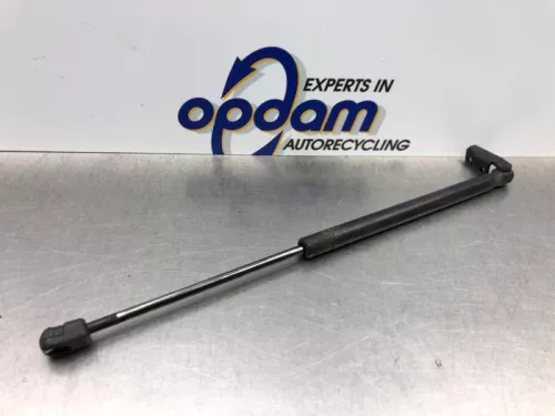 Set Gasdempers Achterklep-8181036 (21305898)