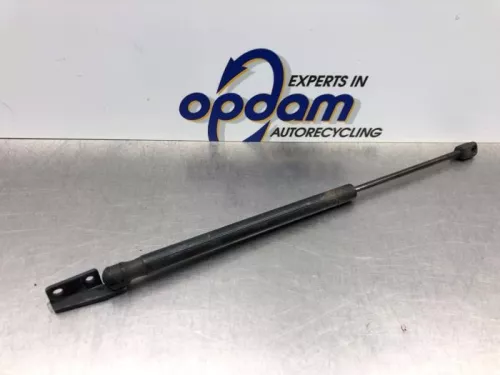 Set Gasdempers Achterklep-8181036 (21305898)