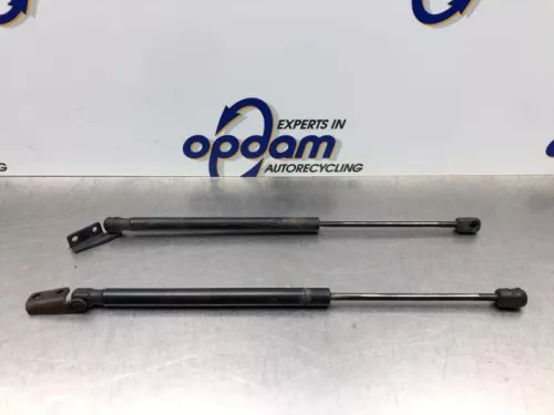 Set Gasdempers Achterklep-8181036 (21305898)