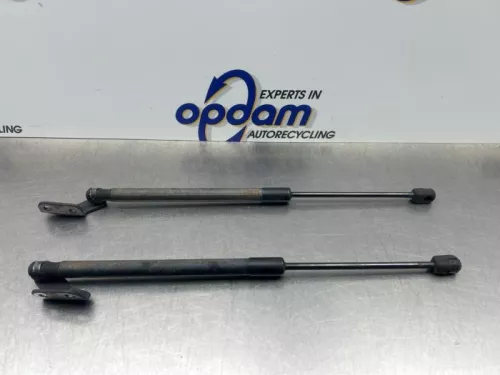 Set Gasdempers Achterklep-8277791