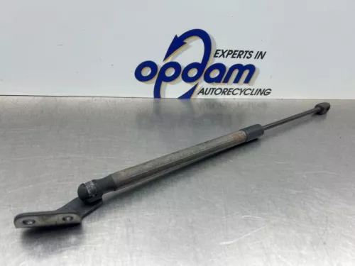 Set Gasdempers Achterklep-8277791 (22015458)