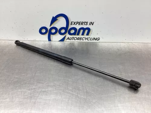 Set Gasdempers Achterklep-7937710 (18646870)
