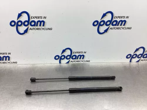 Set Gasdempers Achterklep-7937710 (18646870)