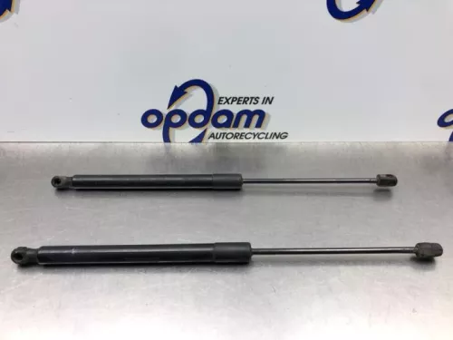 Set Gasdempers Achterklep-8251649 (21548620)