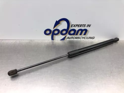 Set Gasdempers Achterklep-8251649 (21548620)