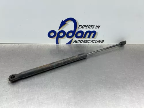 Set Gasdempers Achterklep-8317997 (22625388)