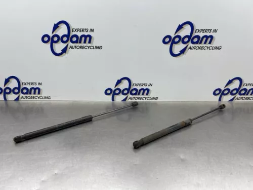 Set Gasdempers Achterklep-8317997 (22625388)