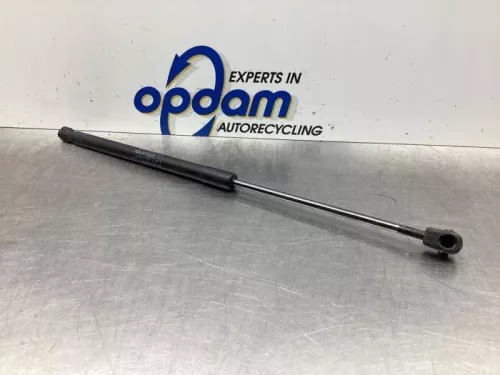 Set Gasdempers Achterklep-7619851 (17620978)