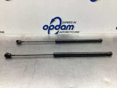 Set Gasdempers Achterklep-7619851 (17620978)