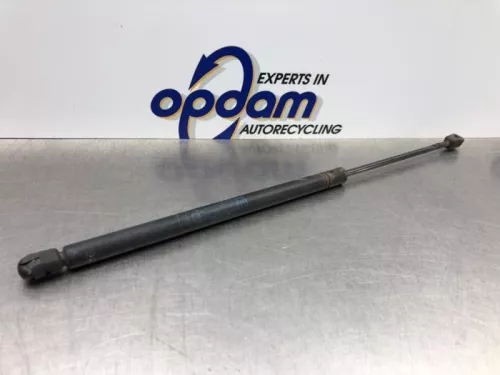 Set Gasdempers Achterklep-8196770 (20915366)