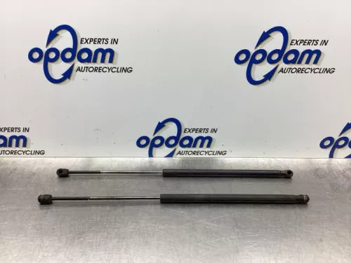 Set Gasdempers Achterklep-7915414 (17894430)