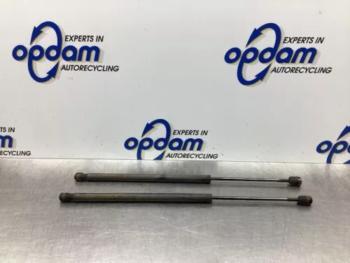 Set Gasdempers Achterklep-7850864 (17859852)