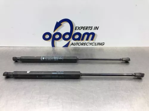 Set Gasdempers Achterklep-8249431 (21602313)